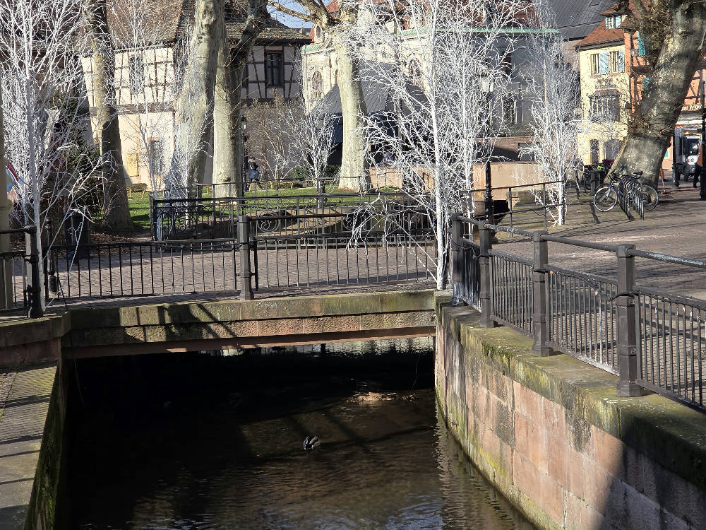 From Strasbourg: Colmar, Riquewihr, & Castle Day Trip
